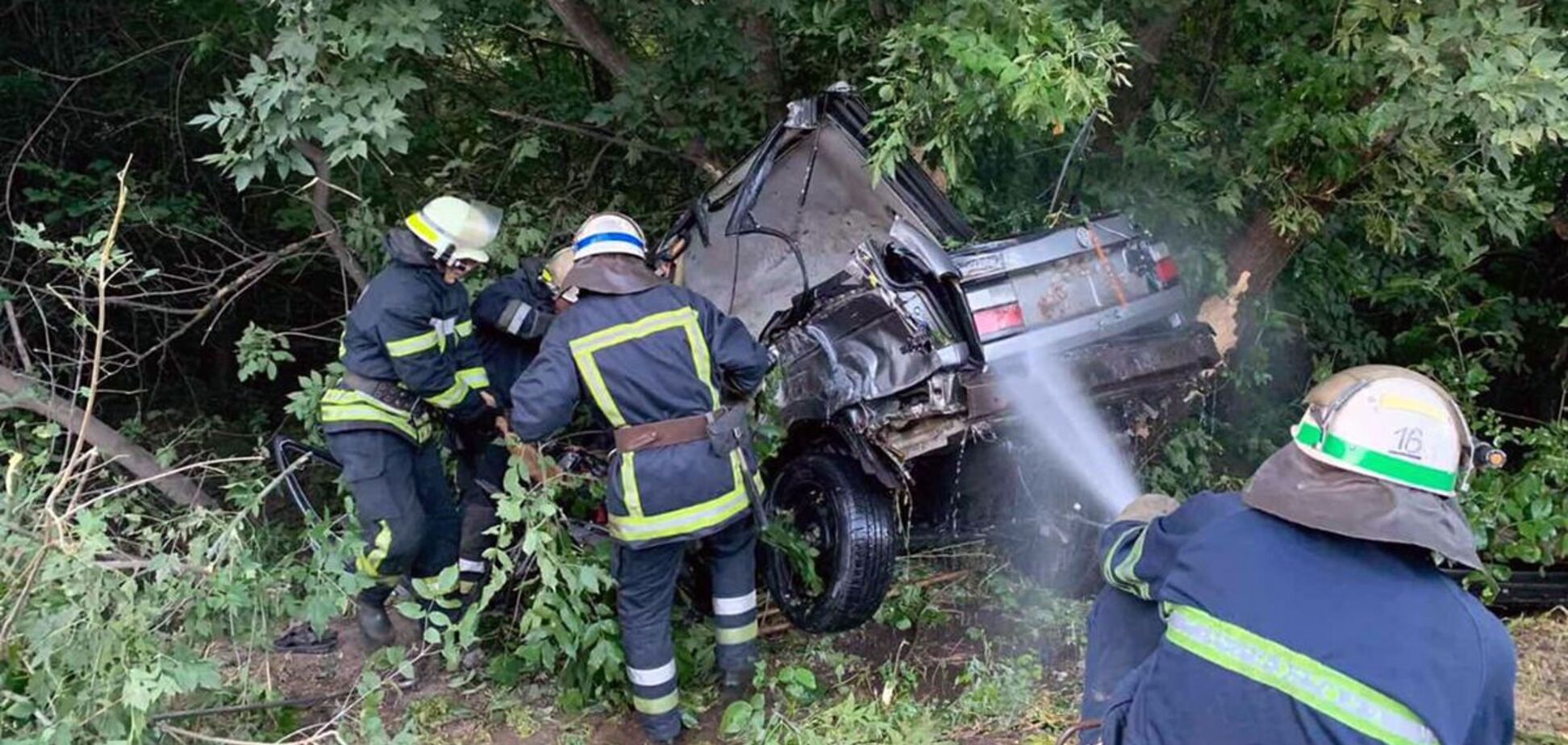 В Кривом Роге авто разбилось о дерево: погибли водитель и пассажир. Фото