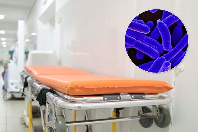 У Киргизстані стався спалах сибірської виразки