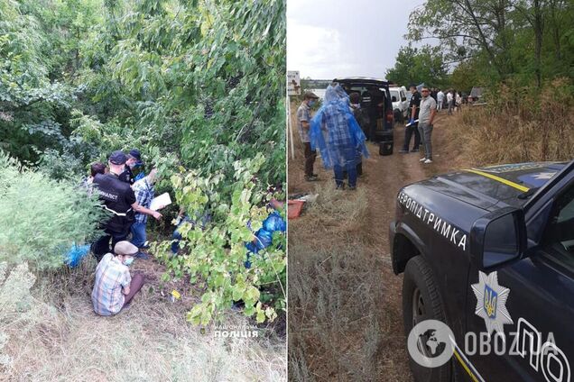 Суд арестовал подростка, который убил 12-летнюю девочку на Киевщине. Место трагедии