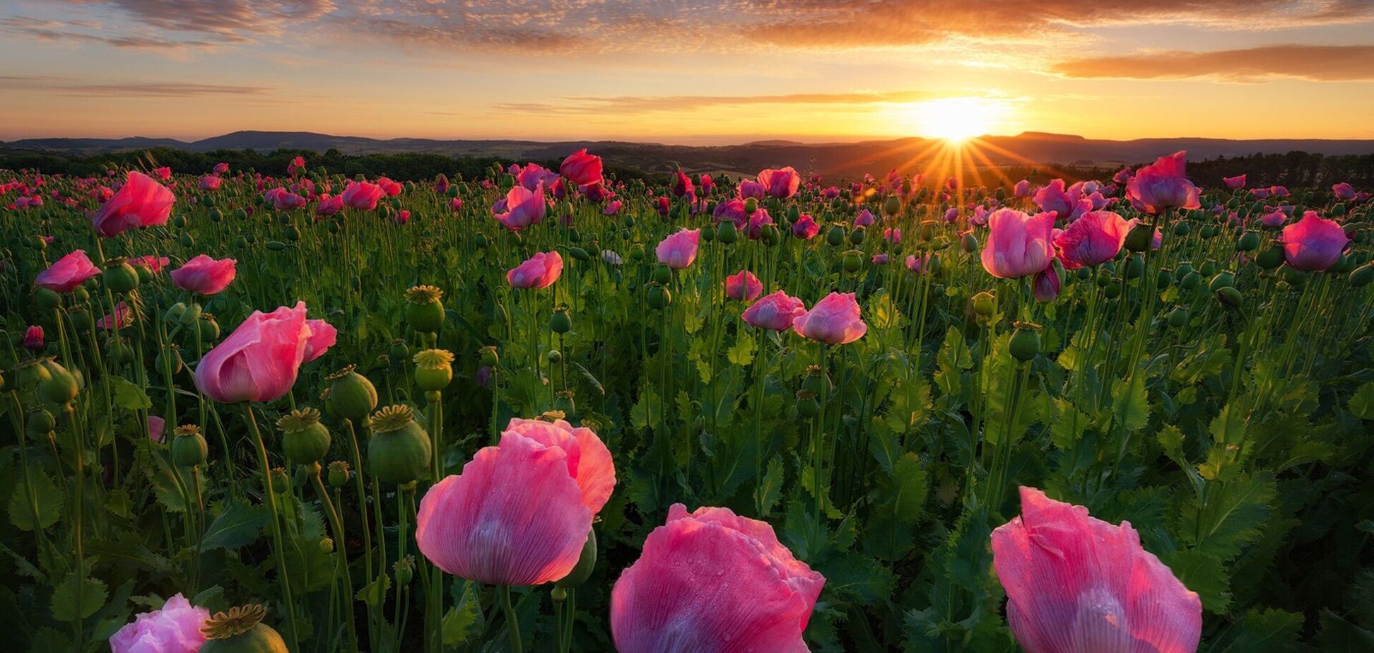 Праздники и приметы на 13 августа: что нельзя делать в этот день