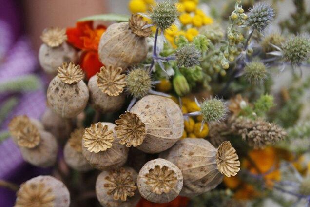 Откуда пошла традиция освящать мак