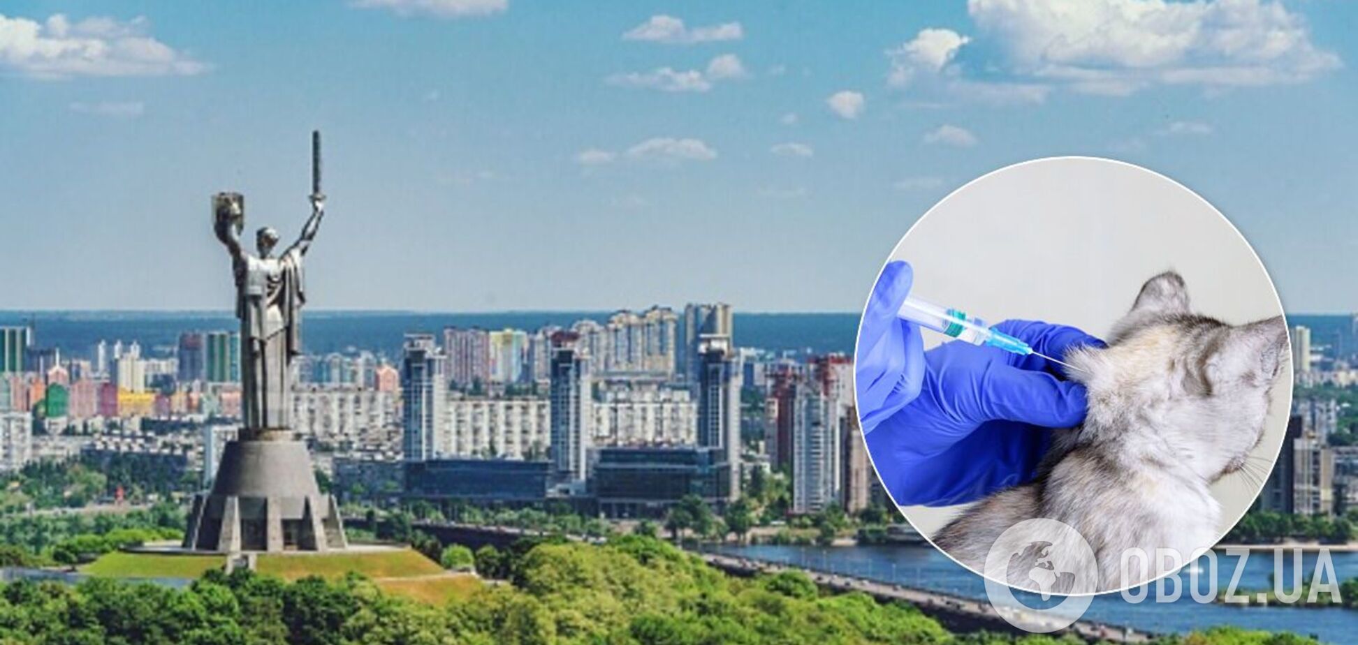 В Киеве выявлен случай бешенства