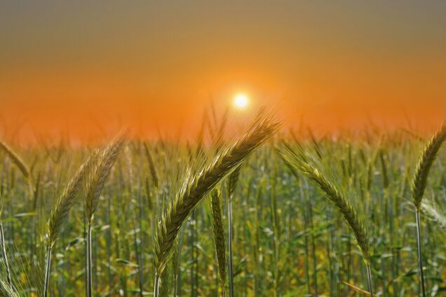 Что отмечают 18 августа: праздники и запреты