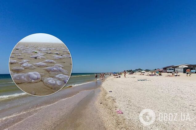 Отдых в Кирилловке