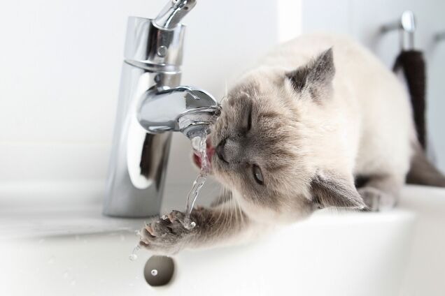 Часть жителей Днепра останется без воды: адреса