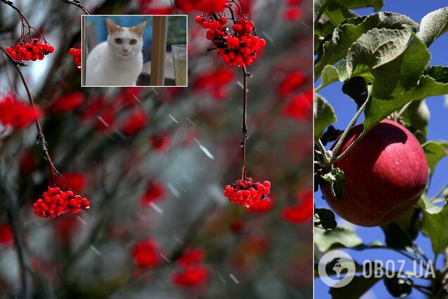 Перші заморозки, сніг із дощем, зливи і шквали: якою буде осінь-2020 в Україні