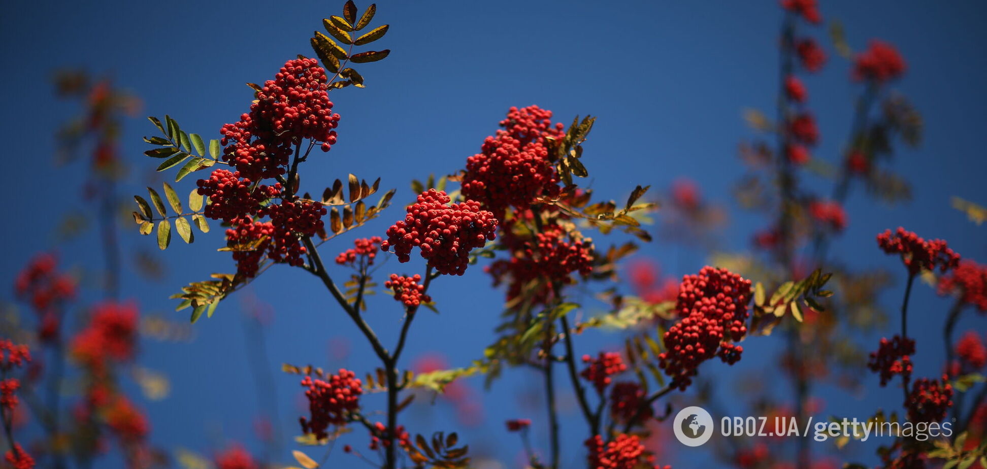Половина сентября в Украине будет летней: синоптик дал прогноз на начало осени
