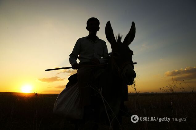 Крушение стереотипа! При выборе из двух вариантов, пробуйте оба