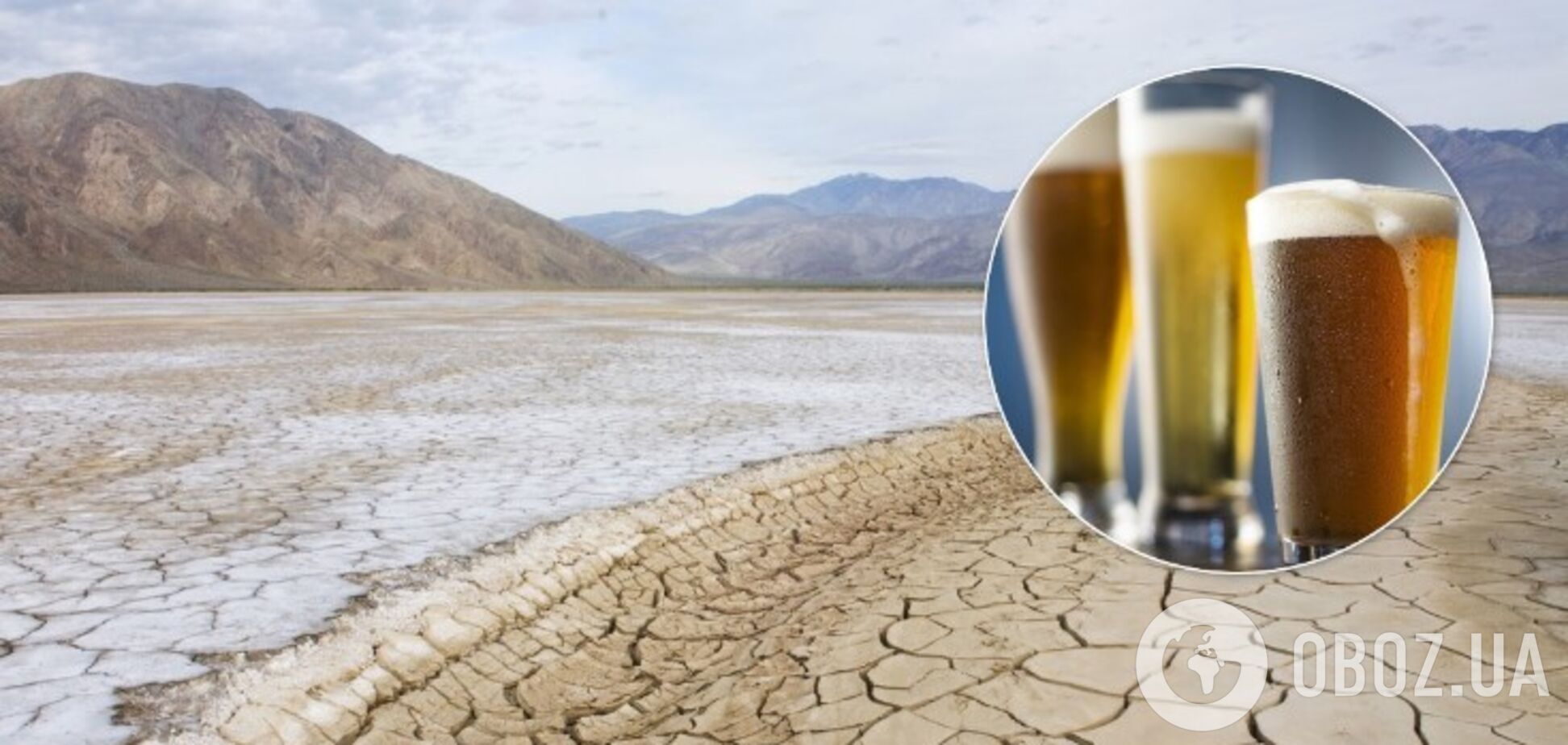 Глобальное потепление может повлиять на вкус пива