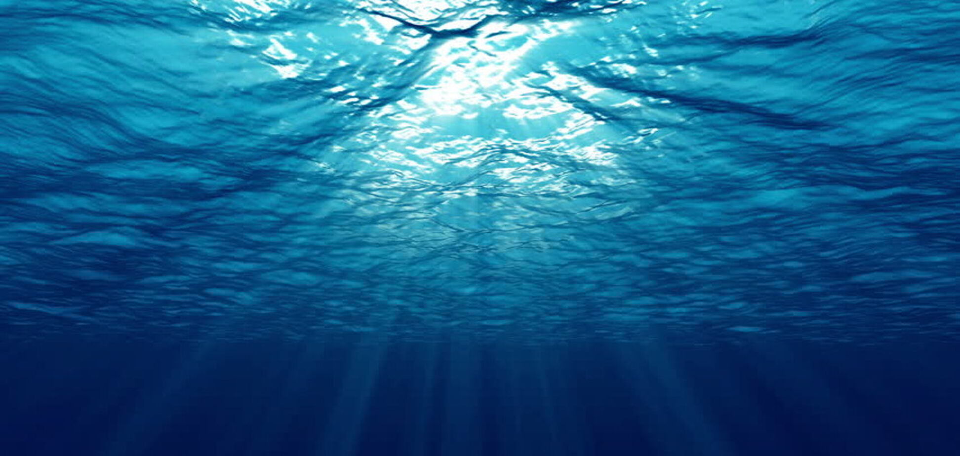 В Канаде рыбаки выловили рыбу с крыльями и носом. Фото