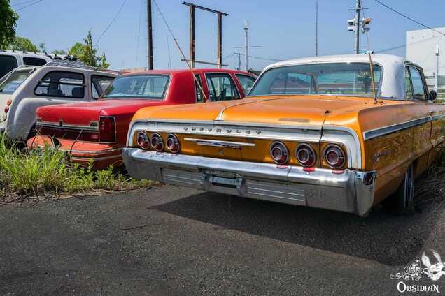 В Японії знайшли занедбані автомобілі. Фото: Obsidian Urbex Photography