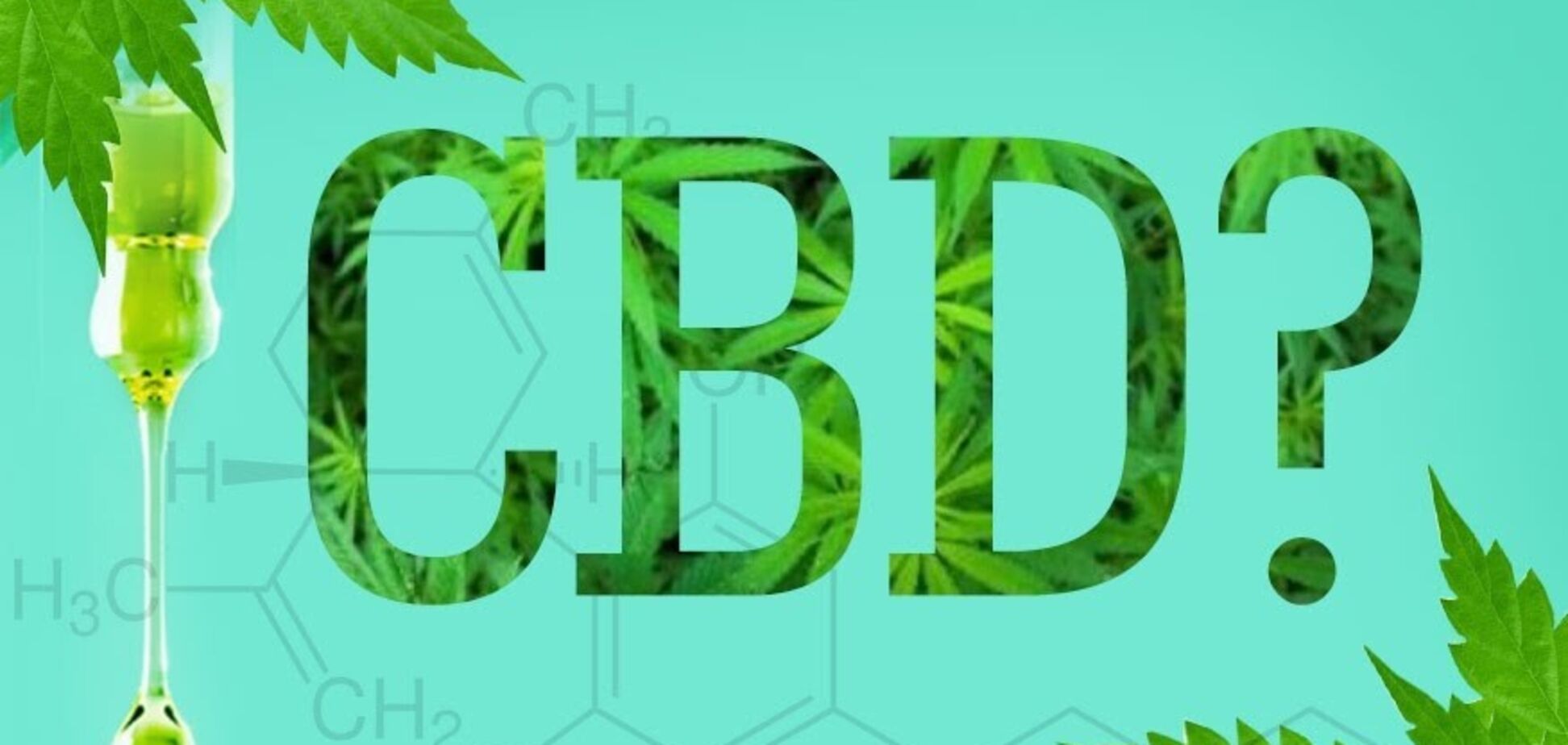 Что такое КБД и зачем его изучают