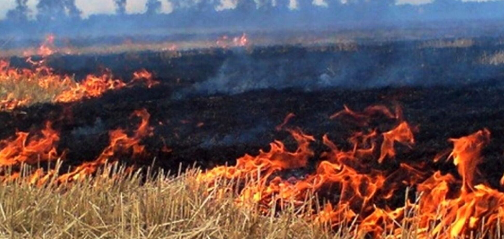 Тернопольский предприниматель Сенив помог спасателям потушить пожар на поле. Видео