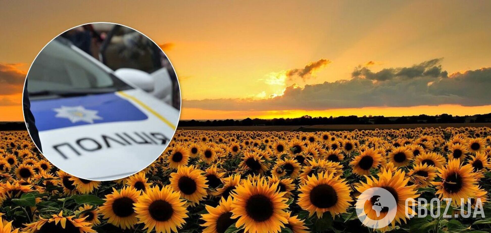 Під Кривим Рогом у полі знайдений мертвим зниклий чоловік. Фото