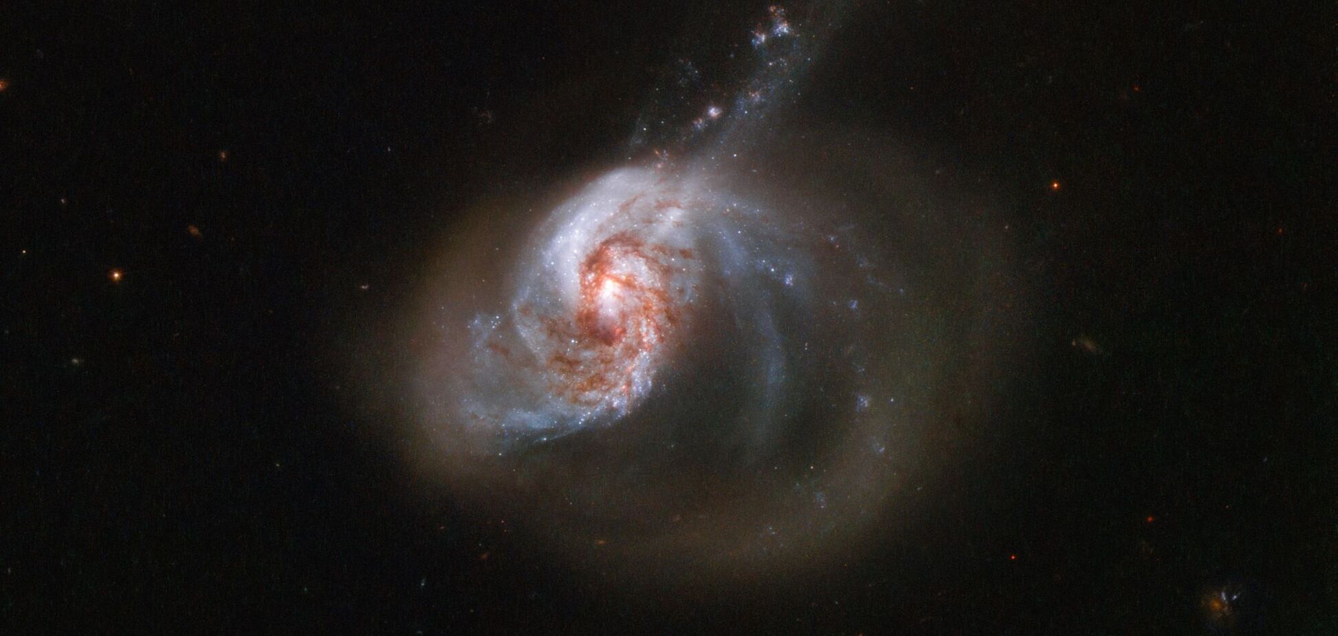 Галактика NGC 1614 расположена в созвездии Эридан