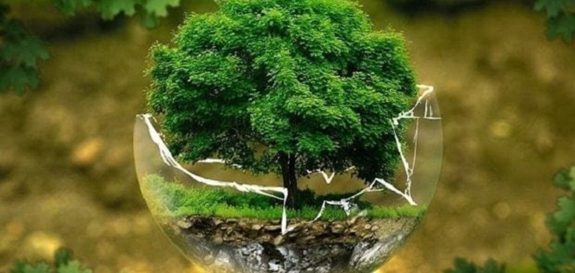 Законопроект об экоконтроле создает значительные коррупционные риски, – Укрцемент