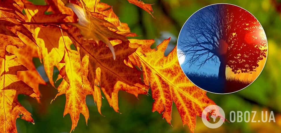 День і ніч зрівняються, а потім ніч почне наступати на день