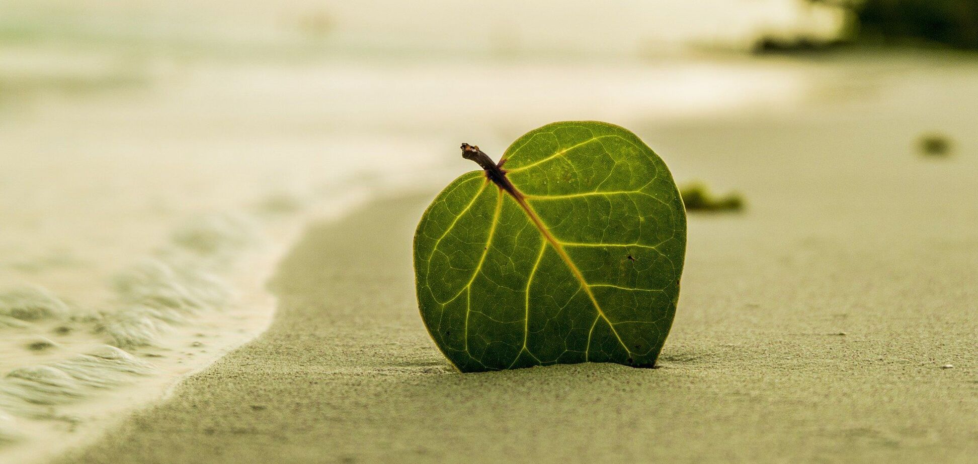 Что отмечают 29 августа: приметы и праздники