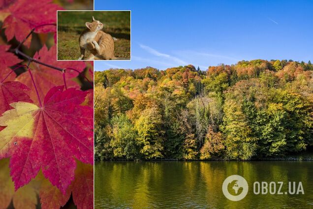 'Лето' до октября и 'качели' от +5 до +37: подробный прогноз погоды в Украине