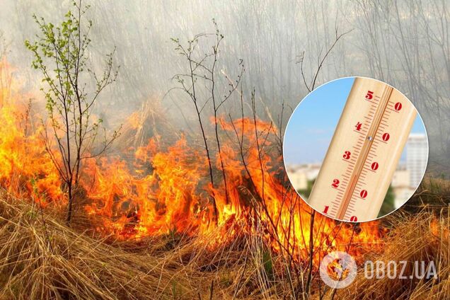 Украинцев предупредили о пожарной опасности: какие регионы могут пострадать