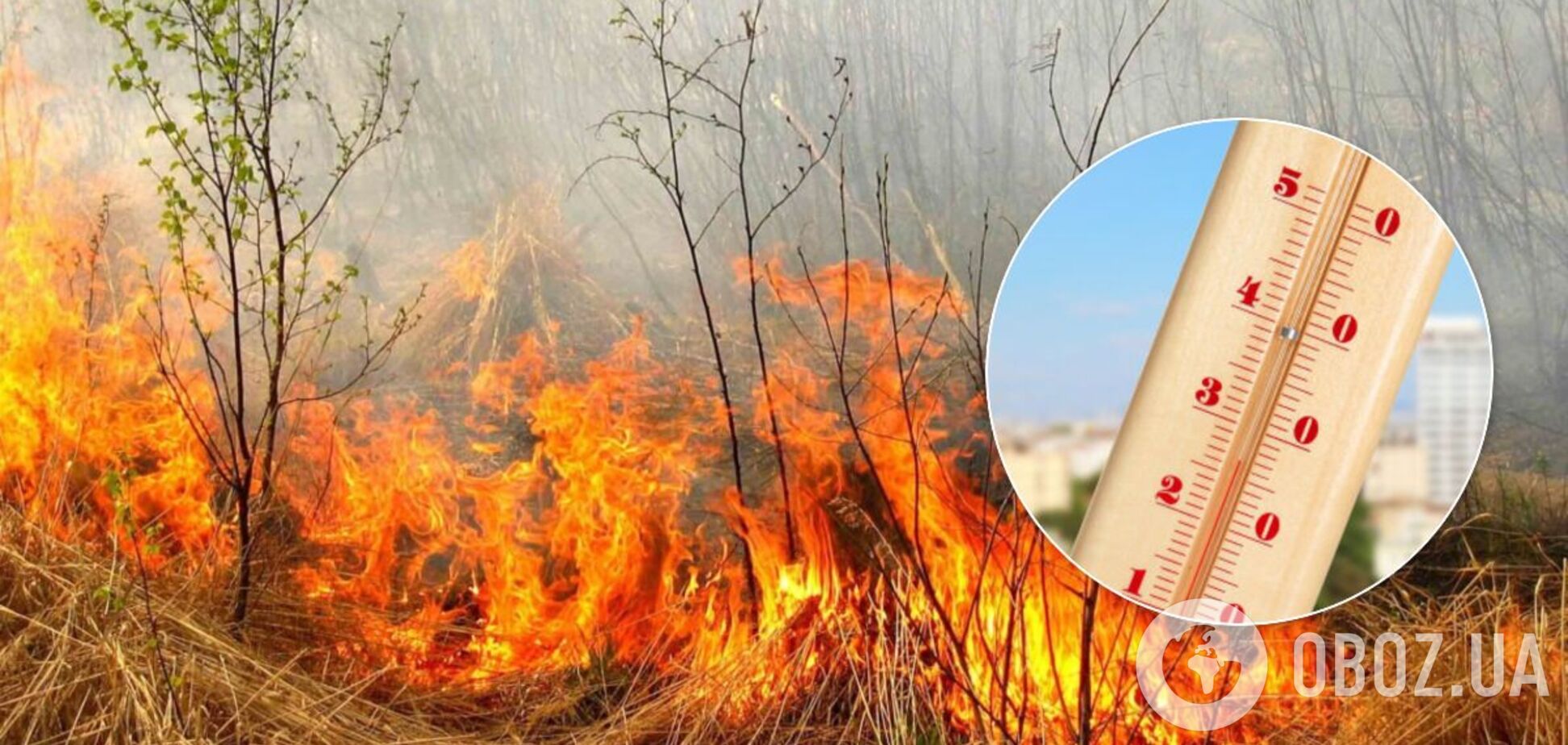 Украинцев предупредили о пожарной опасности: какие регионы могут пострадать