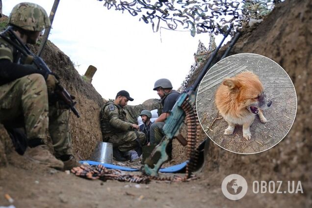 Пес Коврик став легендою прифронтової Авдіївки