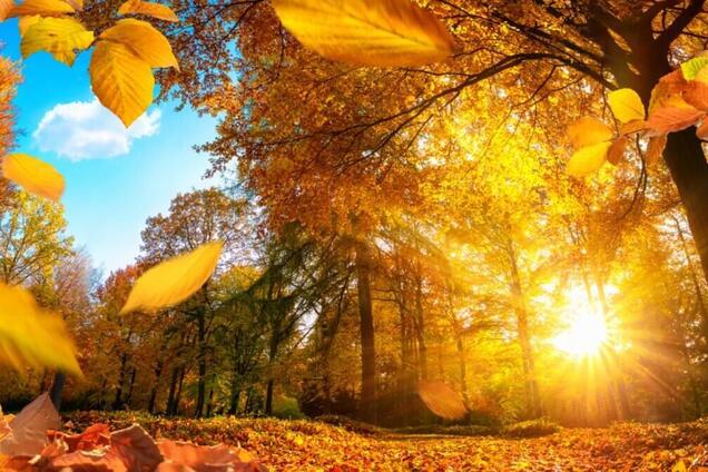 Жара до +32 и дожди: синоптики озвучили прогнозы на сентябрь в Украине