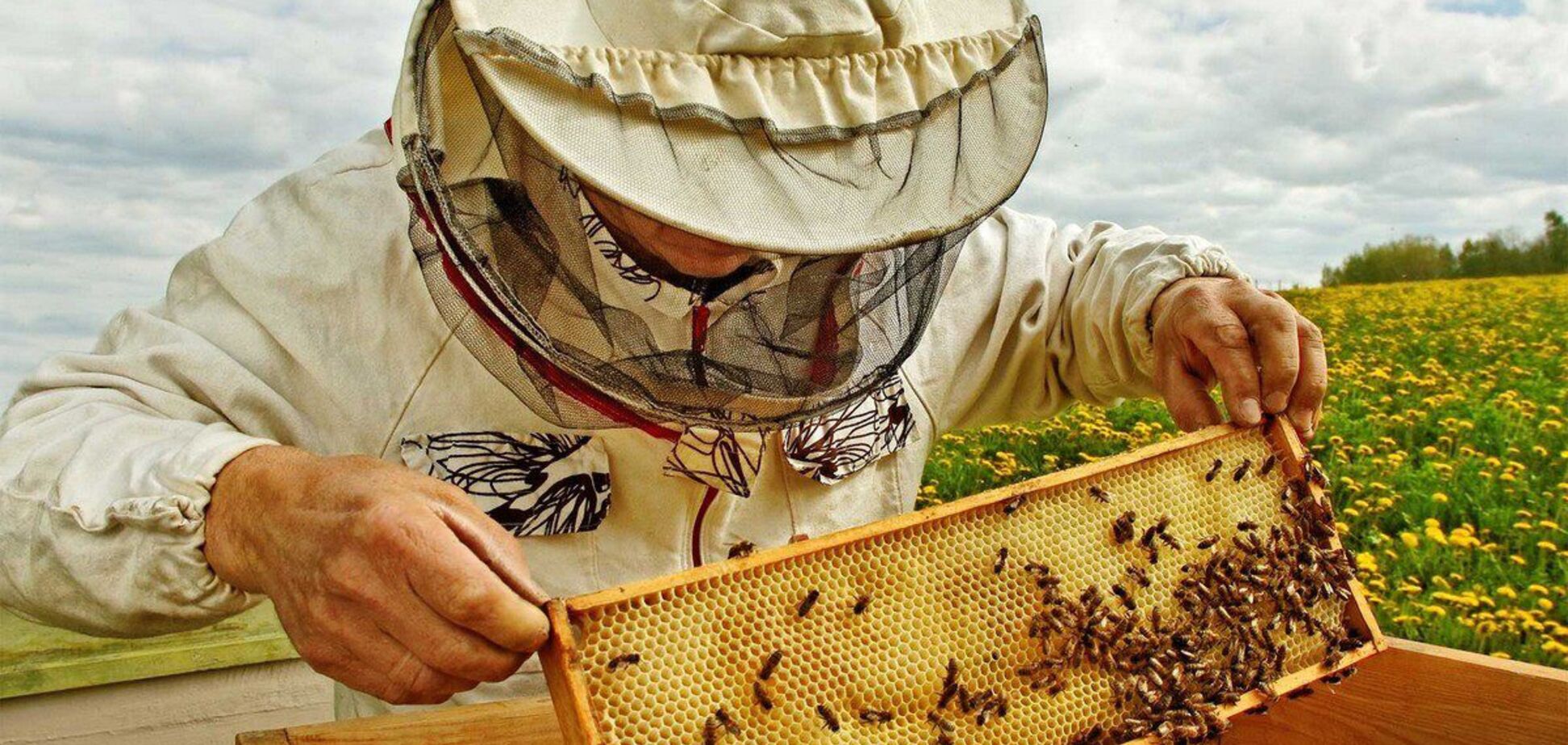 День пасечника в Украине отмечается ежегодно 19 августа