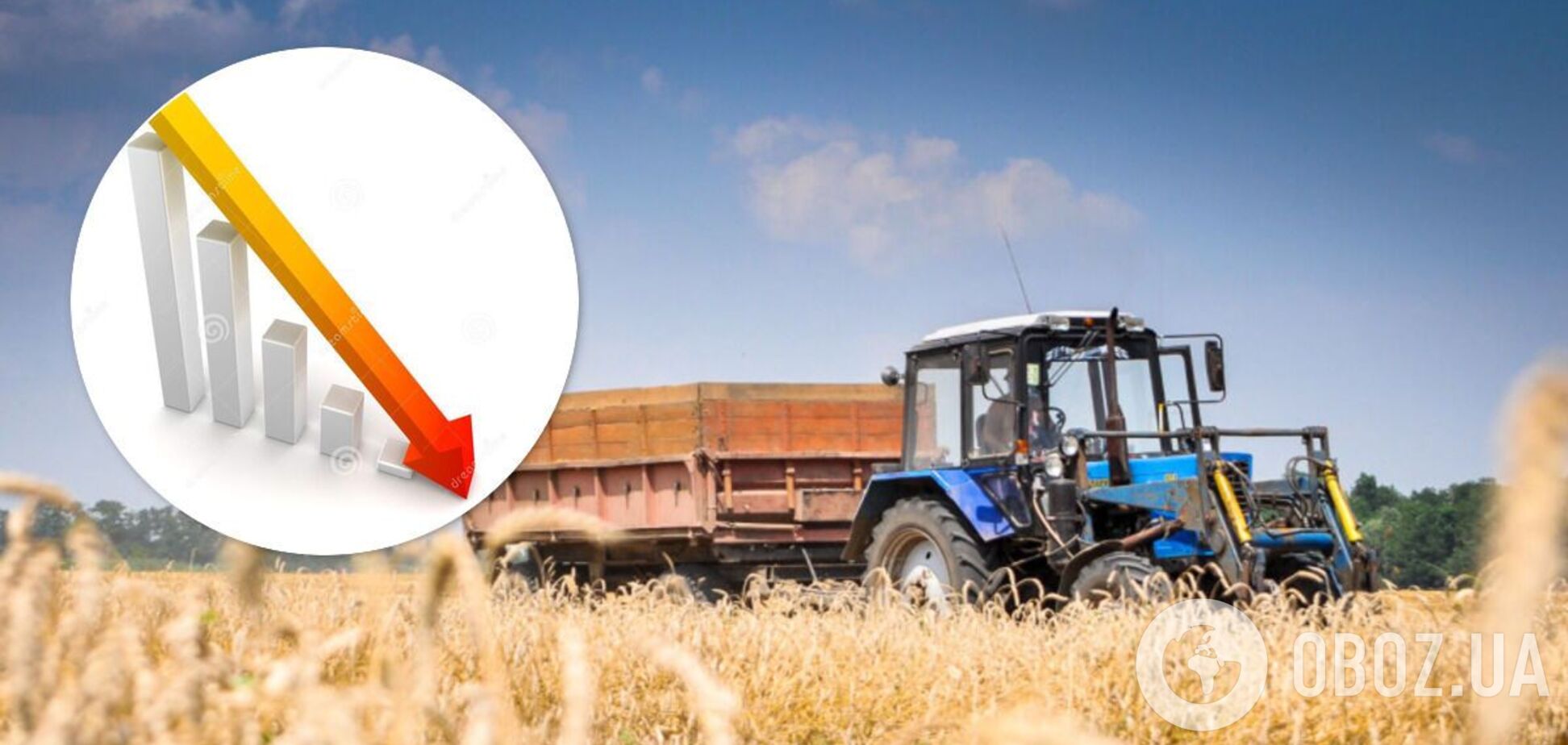 Нетесаный предрек падение экономики и обострение безработицы в Украине