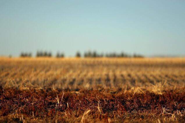 ФРУ призвала президента ветировать закон о снижении НДС для аграриев