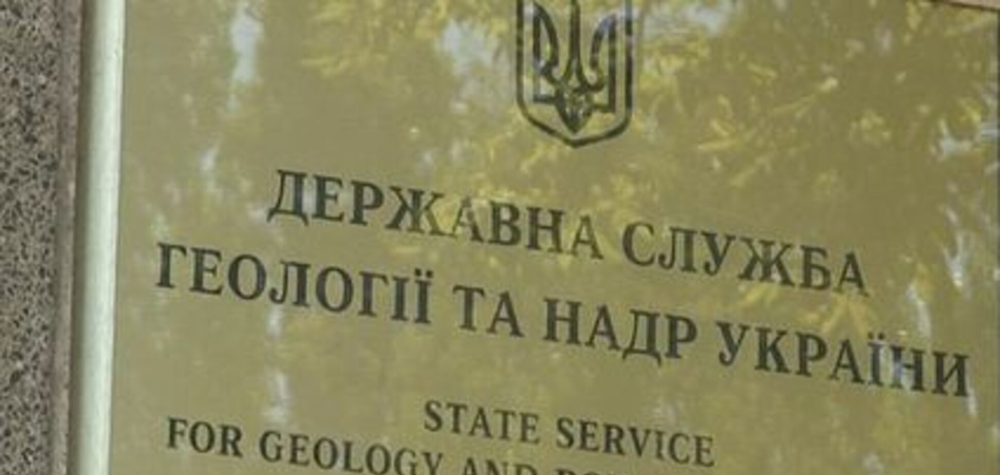 Государственная служба геологии и недр