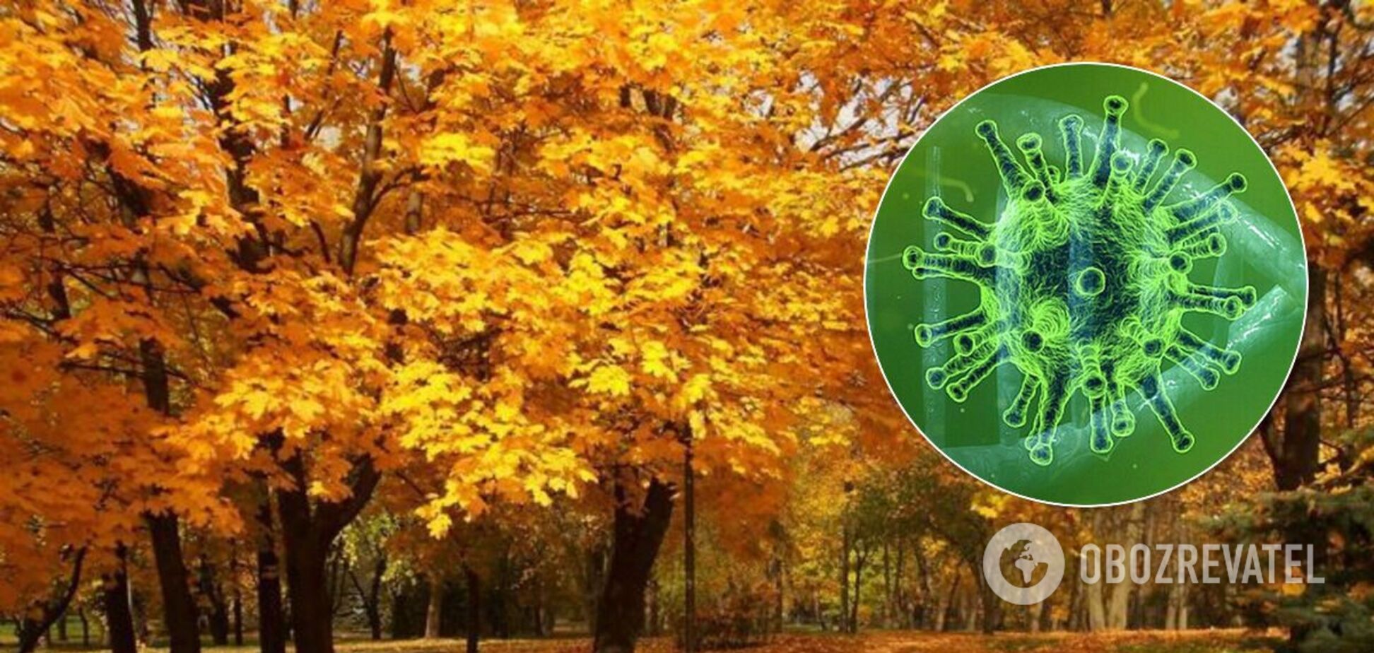 Коронавирус станет тяжелее, а смертность увеличится в разы: бывший санврач дал прогноз на осень