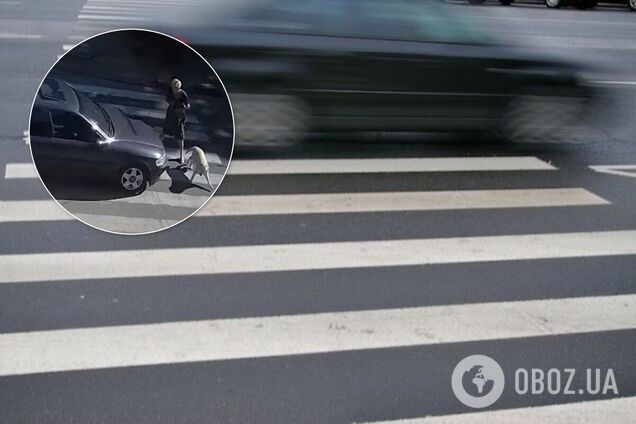 На Дніпропетровщині авто на швидкості збило жінку з собаками. Відео 18+