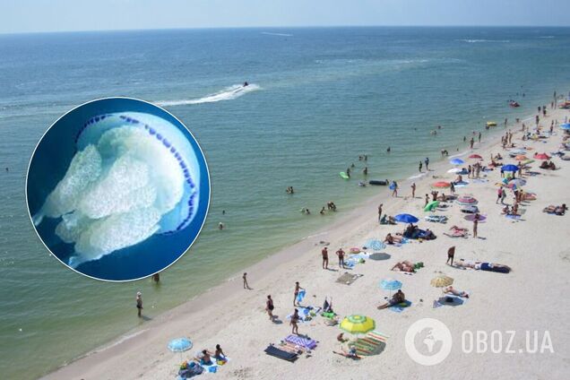 Украинец рассказал об отдыхе в Кирилловке: полно мертвых медуз, а цены на питание завышены
