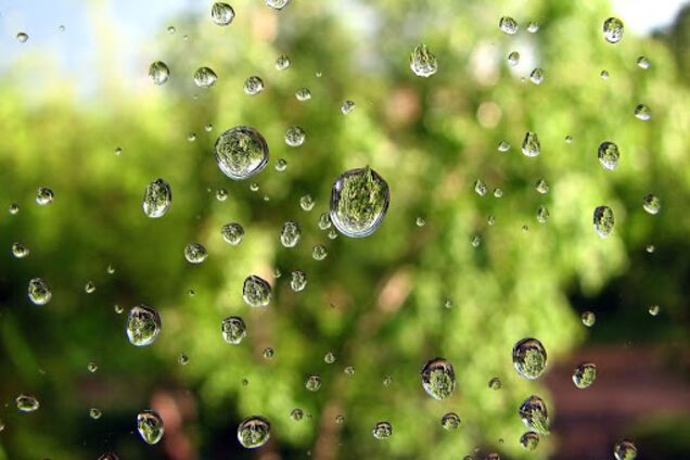 Дожди и похолодание: синоптик дала прогноз погоды на выходные в Украине