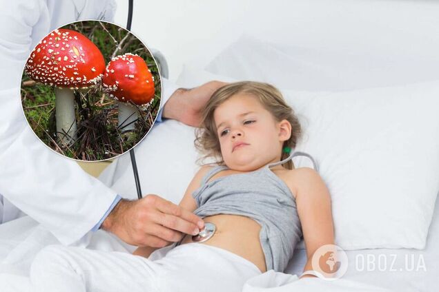 'Накапливают токсические вещества': эксперт рассказал об опасных грибах в Днепре и области