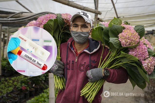 Коронавірус у Нідерландах