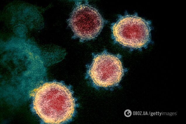 Больной гриппом не может заболеть COVID-19, – вирусолог