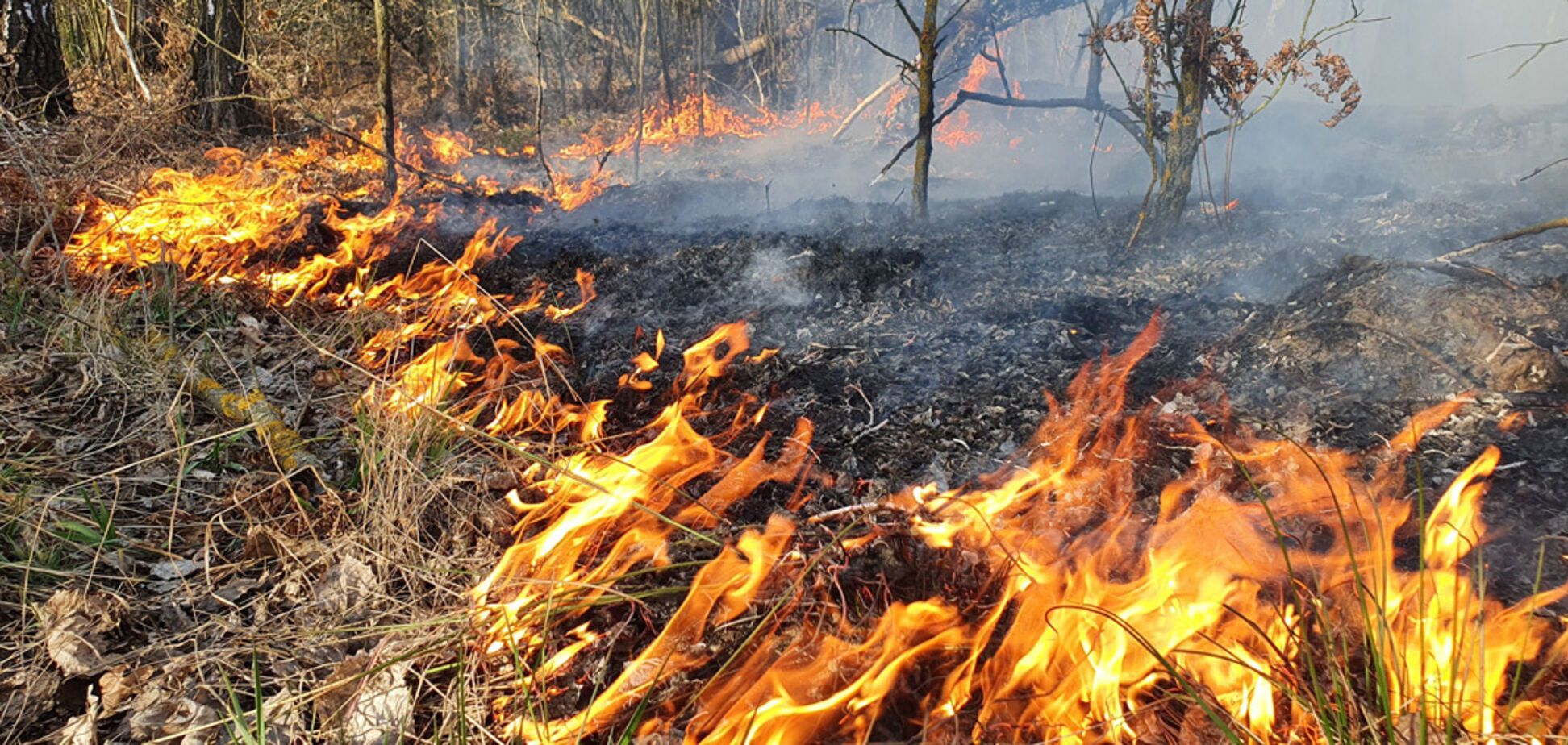 В Україні оголошено надзвичайний рівень пожежної небезпеки