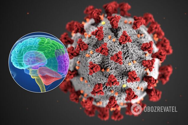 Учені довели руйнівну шкоду коронавірусу для мозку