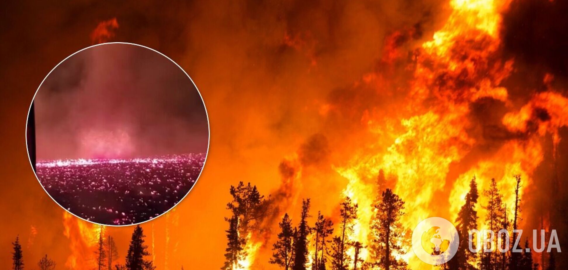 Лесные пожары в Калифорнии вызвали огненный смерч. Видео