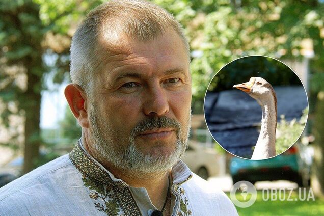 На Днепропетровщине экс-нардепа Березу избили из-за гусей