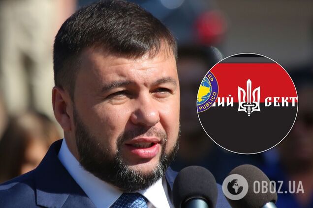 На сайте Пушилина поставили логотип 'Правого сектора'