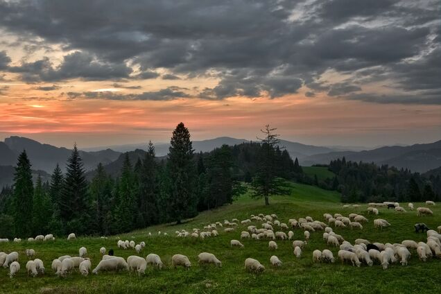 Что отмечают 15 сентября: праздники и приметы