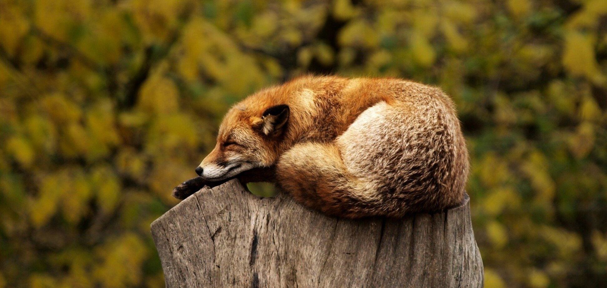 Приметы и праздники 16 сентября: что отмечают в Украине