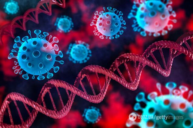 Ученые нашли вещество, нейтрализующее коронавирус