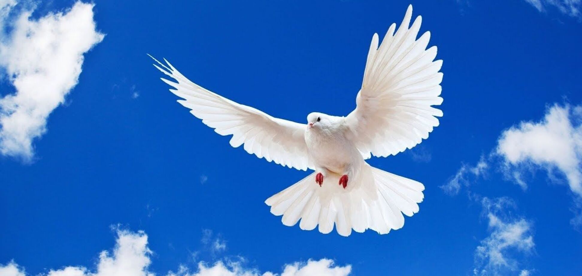 День мира отмечается 21 сентября