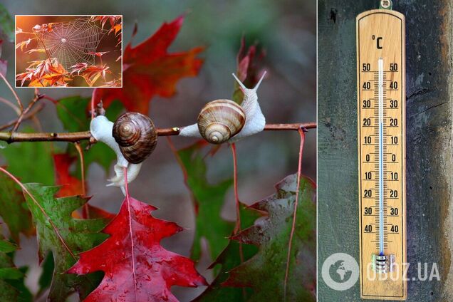 Синоптики – о погоде на осень в Украине: заморозки и три бабьих лета