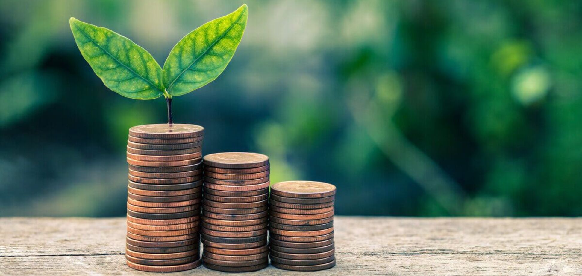 Раде предлагают снизить эконалог предприятиям, которые модернизируются