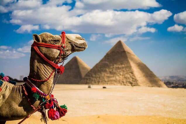 Названы правила путешествия в Египет во время пандемии